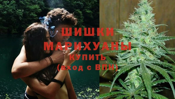 хмурый Магас