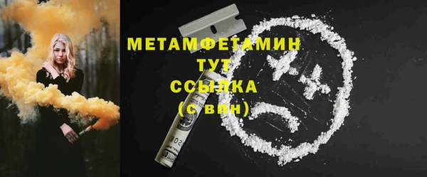хмурый Магас