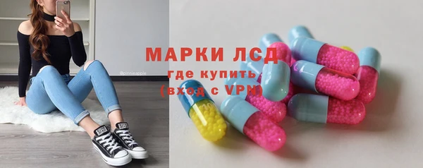 гашик Тында