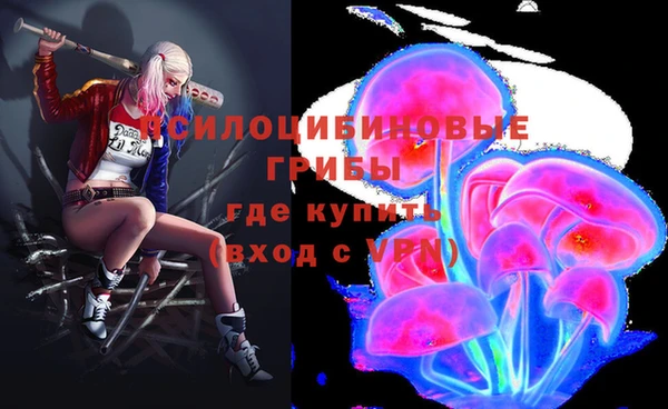 хмурый Магас