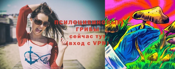 хмурый Магас