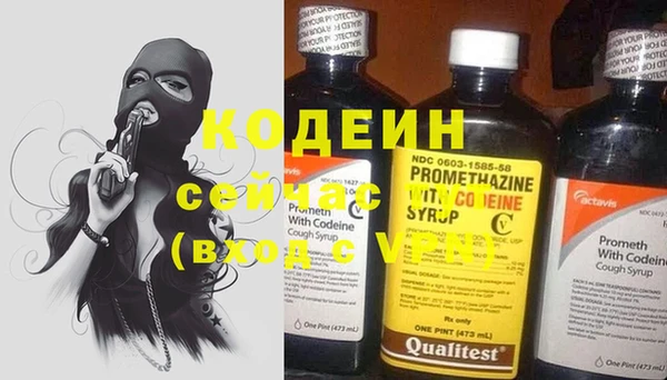 хмурый Магас