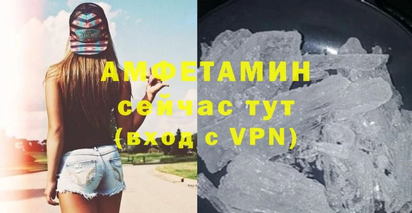 хмурый Магас