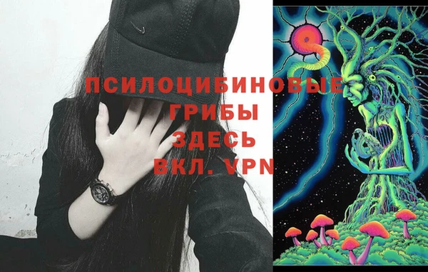 хмурый Магас
