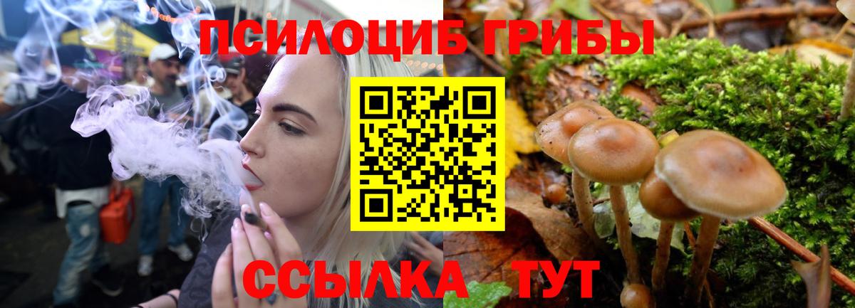 Галлюциногенные грибы ЛСД  Галлюциногенные грибы прущие грибы  Вход с VPN  купить  цена  Чернушка 