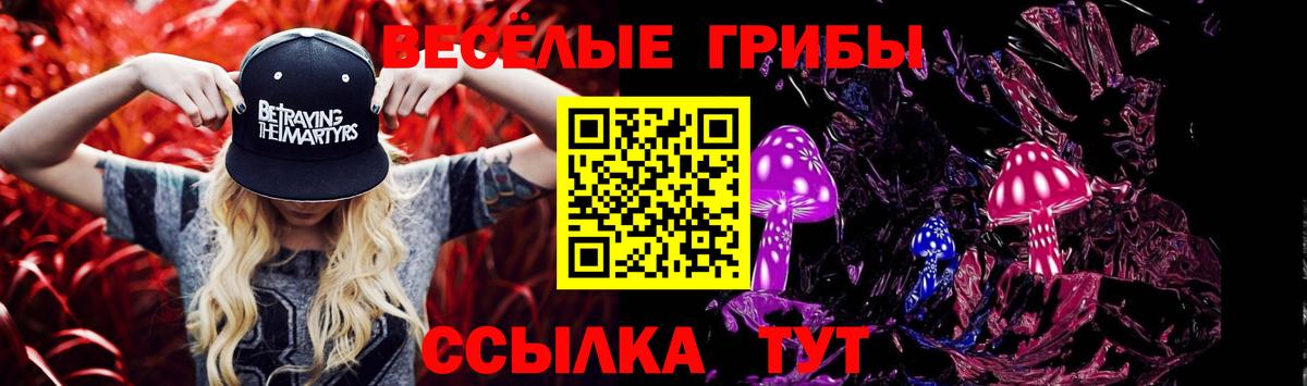 Галлюциногенные грибы ЛСД Чернушка