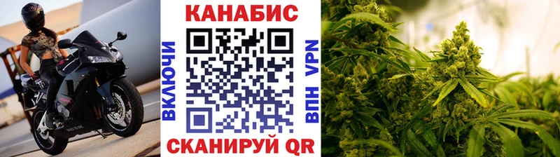 Шишки марихуана индика  Чернушка 